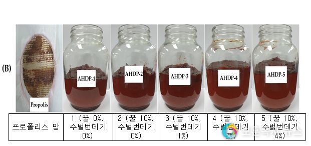 국산 양봉산물 이용 고추장의 제조공정(A)과 숙성 고추장(B)