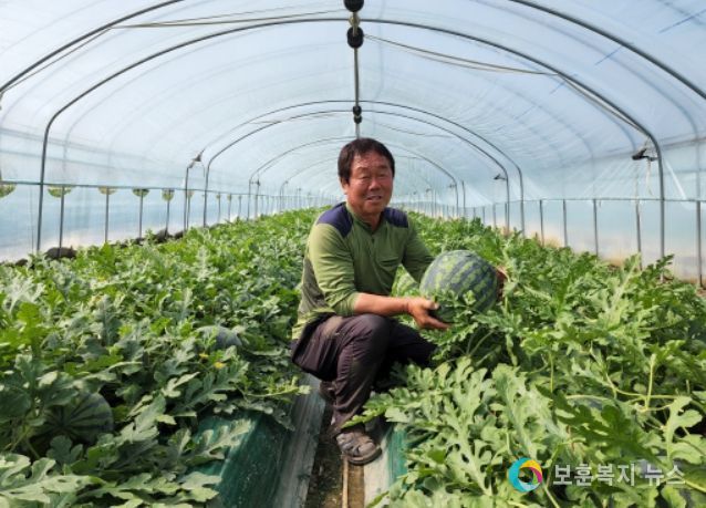 전국 명품 우곡 그린 수박 첫 출하