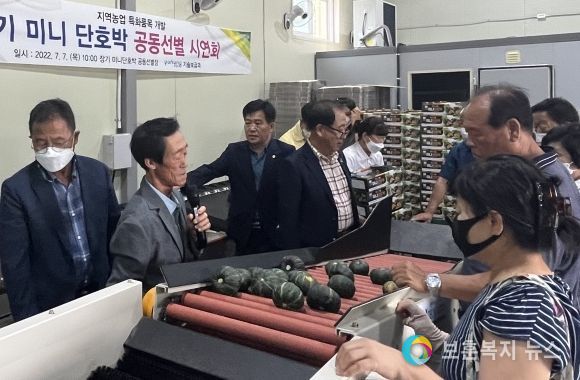 장기 미니 단호박 공선으로 경쟁력 강화...산딸기 이어 포항 특산물 개발