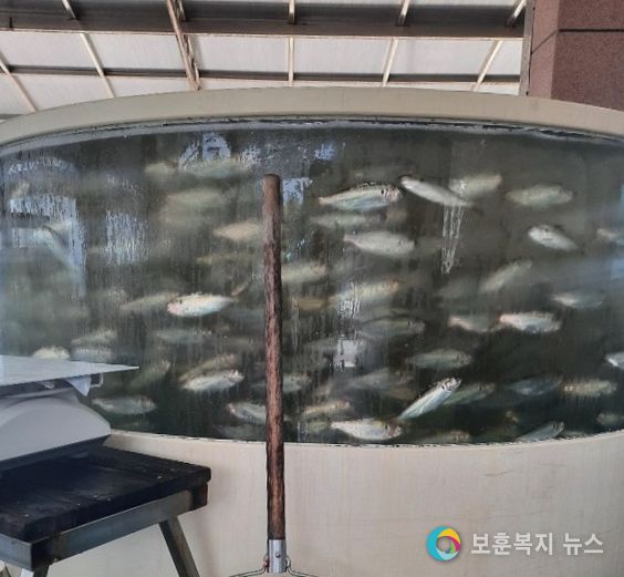 ‘깨가 서말’하동 술상 햇전어 맛보세요