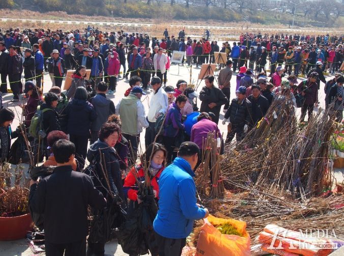 청주시, 2023년 나무 나누어주기 행사 개최