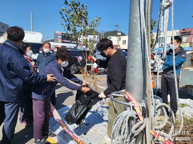 지난해 나무 나눠주기 행사 모습