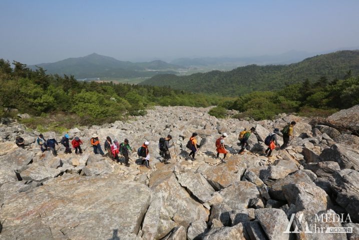 달마고도 힐링축제