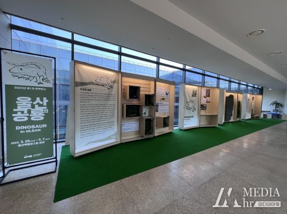 울산박물관 제1차 반짝전시 전경