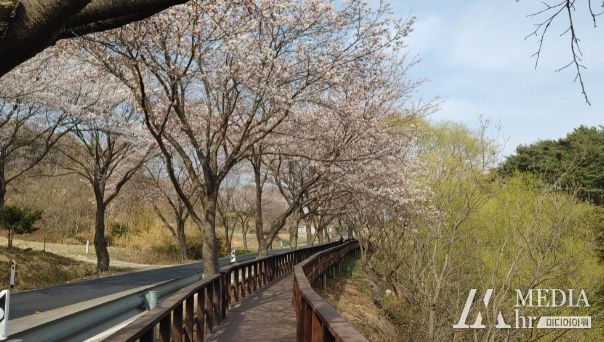 산책로(옥계저수지)