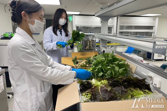 광주광역시 보건환경연구원, 봄철 나물류 안전성 조사