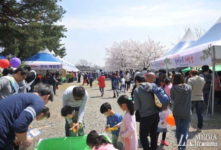 속초시, 제11회 설악벚꽃축제 개최