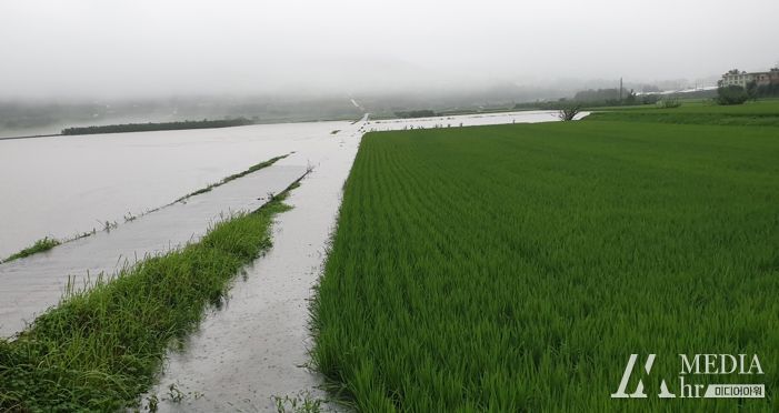 하동군, 여름철 농작물 재해보험 가입하세요