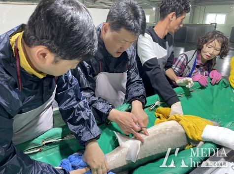 충남도, 철갑상어 양식 기술 발전방안 모색