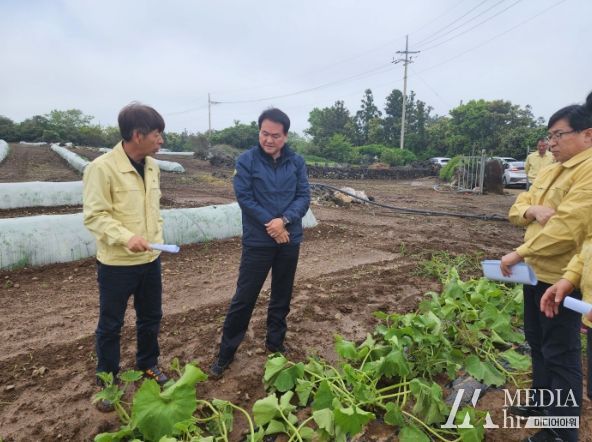 김희현 제주 정무부지사, 농작물 집중호우 피해현장 점검