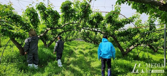 예찰 활동 모습