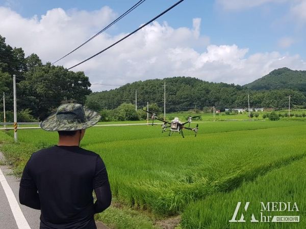 2022년도 농업용 드론 벼 병해충 항공방제 모습