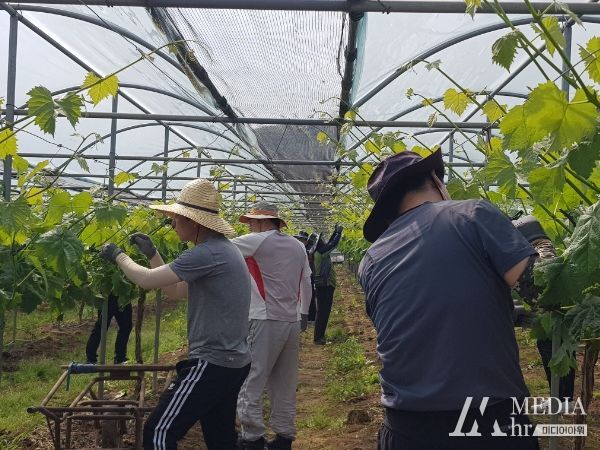 김천시 상하수도과, 농촌 일손 돕기에 앞장서
