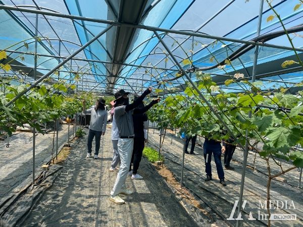 김천시 정보기획과, 농촌일손돕기로 구슬땀 흘려
