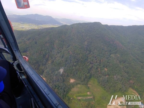 경북도, 소나무재선충병 방제, 예비 관찰조사 착수!