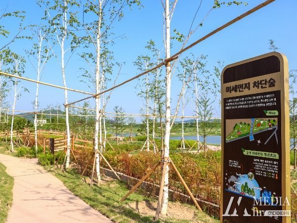 의성군, 탄소흡수를 위한 미세먼지차단숲 조성