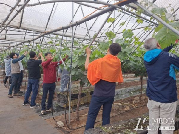 김천시 도로철도과, 영농철 아름다운 동행