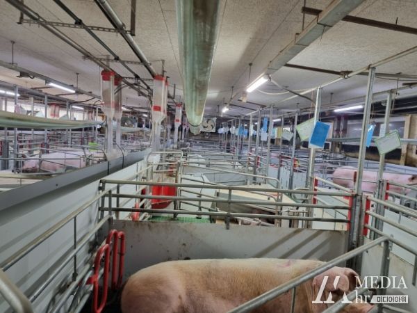 거창군, 여름철 가축 피해 예방 활동 추진