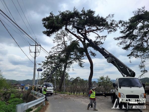 봉화군, 전통마을숲 복원으로 산림문화자산 보존