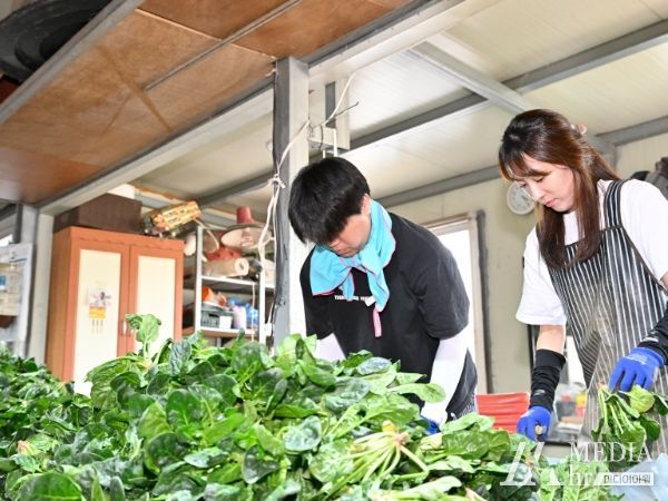 1. 기획예산실과 홍보소통담당관 직원들이 농촌 일손돕기로 시금치를 다듬고 있다.