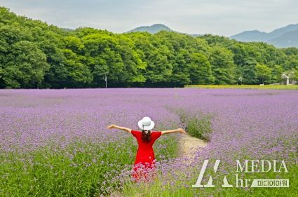 산삼보고 젊어지는 ‘함양’에서 하룻밤 여행