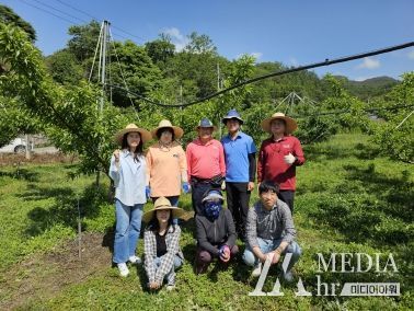 김천시 부항면 복숭아 농가 적과 작업 실시