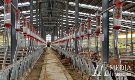 한우 농가 자동급이시설 구축 사진