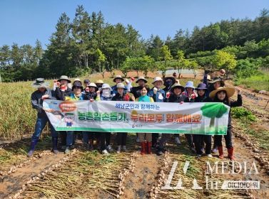 23일 해남군 공직자들이 올해 82세 고령농가인 화산면 율동마을 윤원용씨 밭에서 마늘 수확을 돕고 있다.
