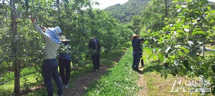 장수군 재무과, 농촌 일손돕기 나서