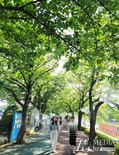 남원시, 쿨링포그 가동 등 여름철 폭염대책 시동