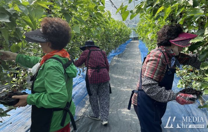 부안군 치매안심센터, 2023 함께하는 치유활동 프로그램 실시