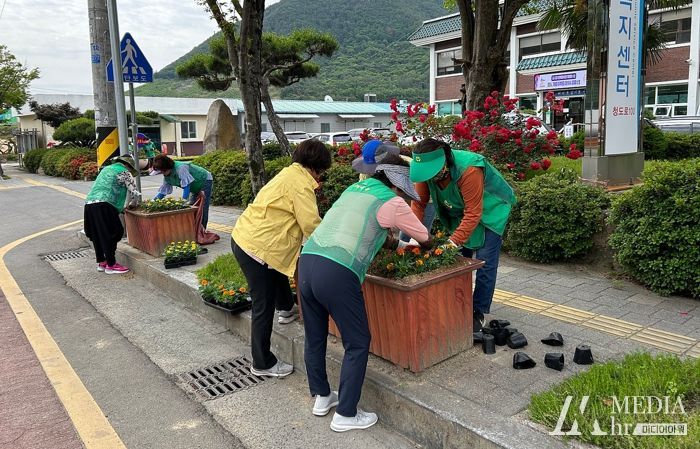 청도면행정복지센터가 26일 도로변 화분에 메리골드 4,500여 본을 식재했다.