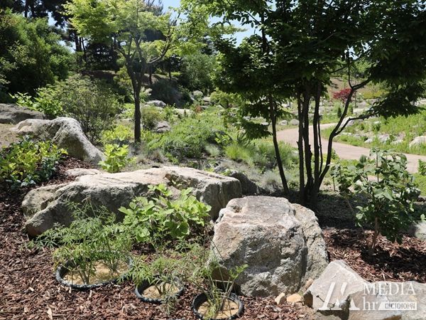 멸종위기 야생생물 전시원 조성 전경