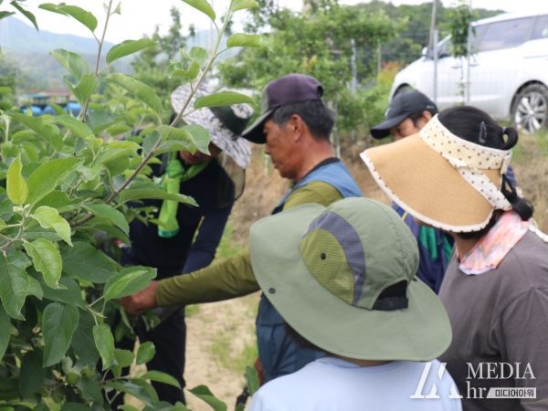 홍천군농업기술센터, 영농철 농촌 일손 돕기에“구슬땀”