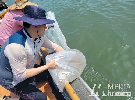 주꾸미 방류 사진