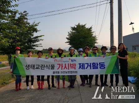 김천시 율곡동 자연보호협의회, 생태교란 식물 가시박 제거