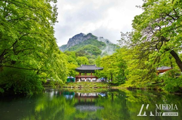 장성군이 백양사 쌍계루에서 산사 인문학 콘서트를 연다