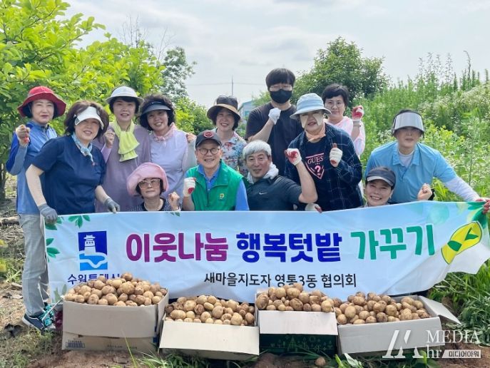 수원시 영통구 영통3동 새마을단체, 사랑의 감자수확