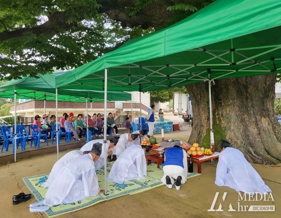 봉산면 봉림리 느티나무 칠석제