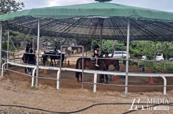 이천시 학생승마체험 9월 5일부터 9월 14일까지 온라인 모집