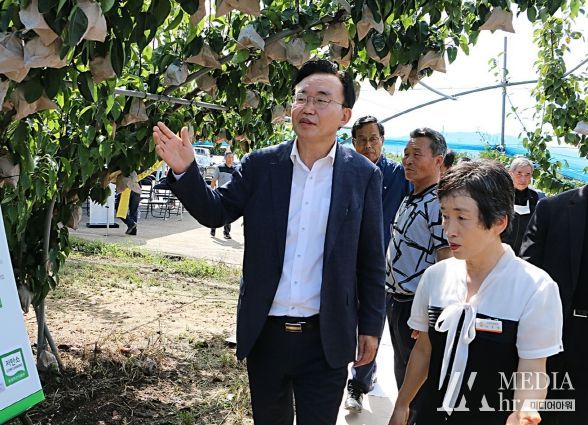 나주시, 추석 대목 앞둔 나주배 수확 현장 컨설팅